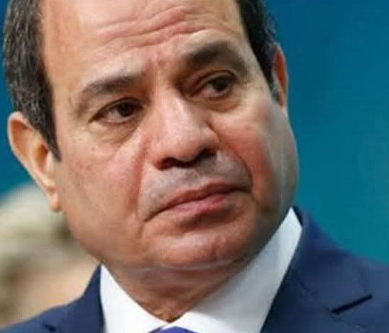 الرئيس السيسي يوجه بتسريع وتيرة تنفيذ مشروعات المحاور اللوجستية التنموية المتكاملة 1 الرئيس السيسي يوجه بتسريع وتيرة تنفيذ مشروعات المحاور اللوجستية التنموية المتكاملة