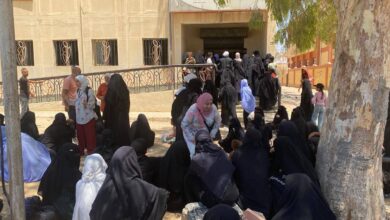 قافلة "جسور الخير 23" تُواصِل تقديم خدماتها المتكاملة لأهالي العريش بشمال سيناء 