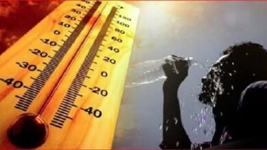 الطقس اليوم شديد الحرارة والرطوبة والعظمى بالقاهرة 38 درجة وأسوان 45