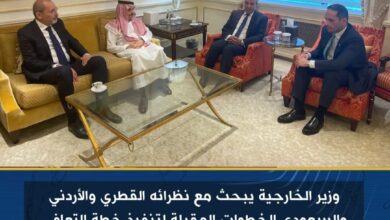 وزير الخارجية يبحث مع نظرائه القطري والأردني والسعودي الخطوات المقبلة وإعادة إعمار غزة