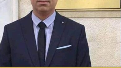 وزير خارجية أيرلندا يشيد بدور مصر الهام في حلحلة الوضع في غزة