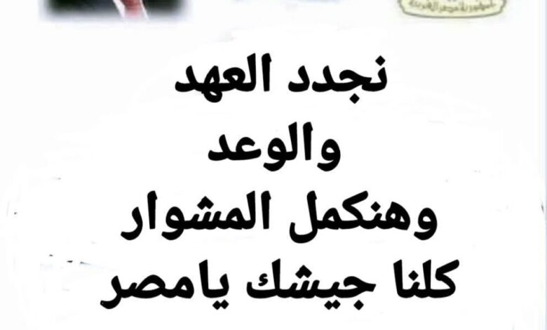 ذكرى ثورة 30يونيو 1 ذكرى ثورة 30يونيو