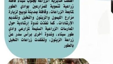 الزراعة في كل مصر" خلال الفترة من 22 إلى 28 يوليو الجاري
