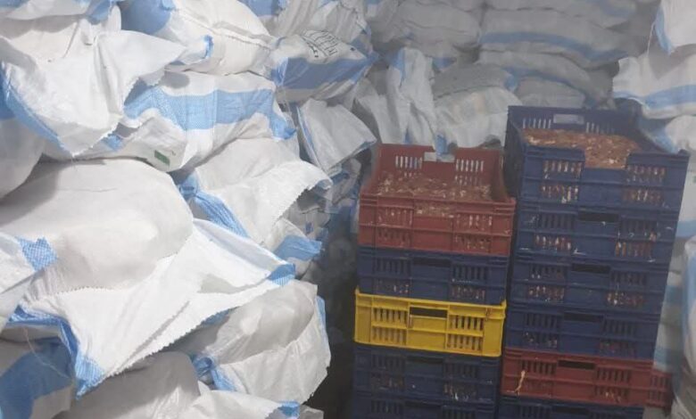 بيطرى الشرقية يضبط مجزر دواجن غير مُرخص خلال الحملات التفتيشية بالإبراهيمية 1 بيطرى الشرقية يضبط مجزر دواجن غير مُرخص خلال الحملات التفتيشية بالإبراهيمية