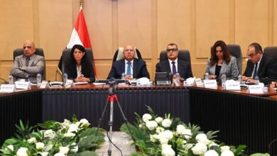 كامل الوزير يترأس الاجتماع الثامن والعشرين للمجموعة الوزارية للتنمية الصناعية