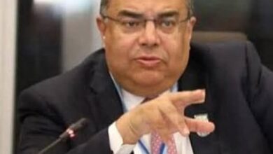 محمود محيى الدين: حان الوقت اتخاذ مصر مسارا اقتصاديا مختلفا عن صندوق النقد الدولى