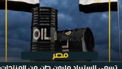 مصر تطرح مناقصة لاستيراد مليون طن من المنتجات البترولية في سبتمبر