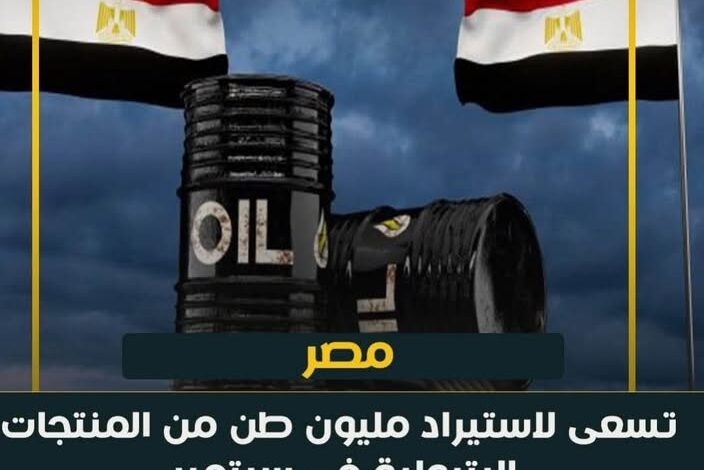 مصر تطرح مناقصة لاستيراد مليون طن من المنتجات البترولية في سبتمبر