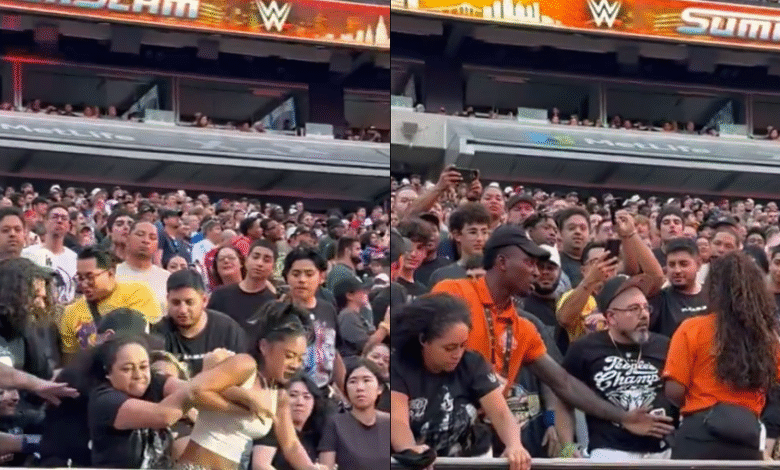 شجار جماهيري "مجنون" يشعل عرض "WWE SummerSlam" للمصارعة الحرة 1 شجار جماهيري "مجنون" يشعل عرض "WWE SummerSlam" للمصارعة الحرة