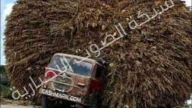 اللاجئون عبء وأزمة والإقتصاد يعاني