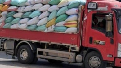 شون وصوامع محافظة الشرقية تنتهي من توريد ٦٠٣٨٤٣ طن و ٨٣٦ كيلو قمح محلي 