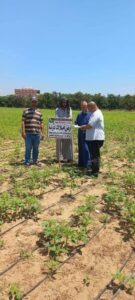 محافظ الشرقية: إنطلاق فعاليات المرحلة الأولى للموجة ٢٧ لإزالة التعديات 2 محافظ الشرقية: إنطلاق فعاليات المرحلة الأولى للموجة ٢٧ لإزالة التعديات