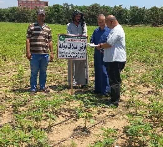 محافظ الشرقية: إنطلاق فعاليات المرحلة الأولى للموجة ٢٧ لإزالة التعديات 
