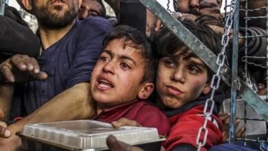 النجمة الأمريكية "مادونا" توجه نداءً عاجلاً إلى بابا الفاتيكان لزيارة قطاع غزة 