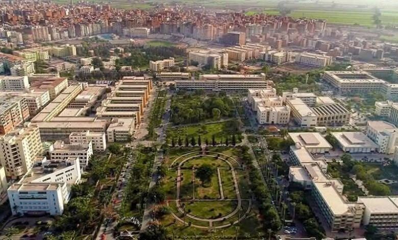 جامعة المنصورة الثالثة محليًا وضمن أفضل 700 جامعة في العالم بتصنيف شنغهاي 2025 1 جامعة المنصورة الثالثة محليًا وضمن أفضل 700 جامعة في العالم بتصنيف شنغهاي 2025