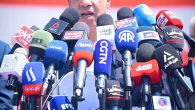 وزير الخارجية: مصر لم تتوقف عن العمل على جميع المسارات منذ بداية العدوان الإسرائيلي على غزة