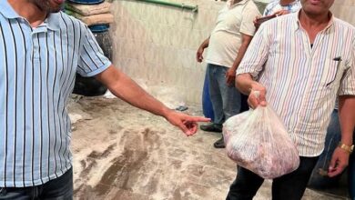 ضبط 3 أطنان " لحمه رأس" فاسدة وغير صالحة للاستهلاك الآدمي بأوسيم بالجيزة