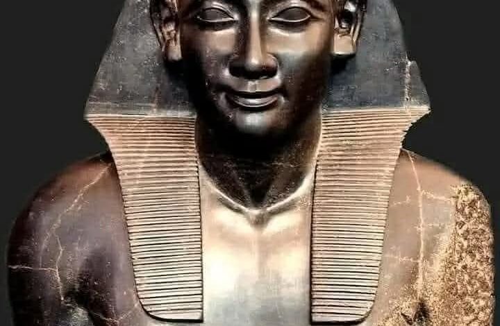 شتائم مصرية من أصول قبطية.. بين اللغة والتاريخ