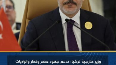 وزير خارجية تركيا: ندعم جهود مصر وقطر والولايات المتحدة لوقف الحرب في غزة
