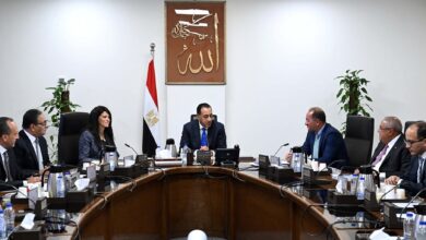 رئيس الوزراء :تنفيذ قانون تنظيم بعض الأحكام الخاصة بملكية الدولة في الشركات المملوكة لها