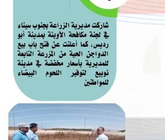 الزراعة في كل مصر" خلال الفترة من 19 إلى 25 اغسطس الجاري