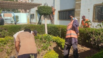 حملات تطوير وتجميل بالإسماعيلية لرفع كفاءة الميادين والمؤسسات الاجتماعية