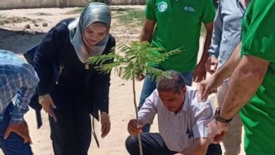 العريش.. حملة نظافة وتجميل بحي الفواخرية برعاية مصنع أسمنت سينا الرمادي