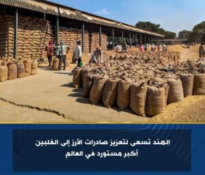 الهند تسعى لتعزيز صادرات الأرز إلى الفلبين أكبر مستورد في العالم