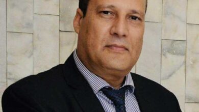الدبلوماسية المصرية تسعي لإطفاء حرائق المنطقة