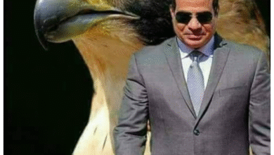 الدبلوماسية المصرية تسعي لإطفاء حرائق المنطقة