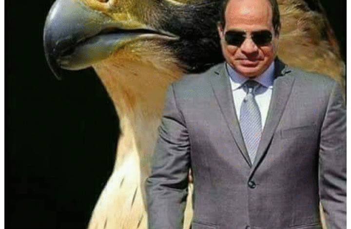 الدبلوماسية المصرية تسعي لإطفاء حرائق المنطقة 1 الدبلوماسية المصرية تسعي لإطفاء حرائق المنطقة