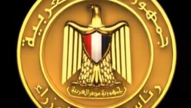 بالفيديو..  المركز الإعلامي لمجلس الوزراء: تمكين الفلاح المصري استراتيجية مستمرة لنهضة زراعية 