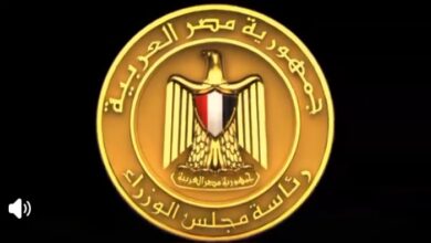 المركز الإعلامي لمجلس الوزراء يستعرض بالفيديو جهود الدولة في ضبط الأسواق 