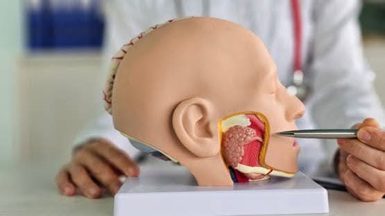 "لسان اصطناعي يتذوق ويتعلم.. ثورة جديدة في عالم الذكاء الاصطناعي"