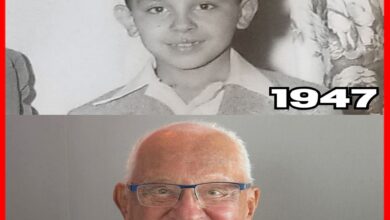 قاضى بدرجة إنسان