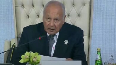 أبو الغيط يرحب باعتماد خارطة طريق لحل أزمة السويداء السورية