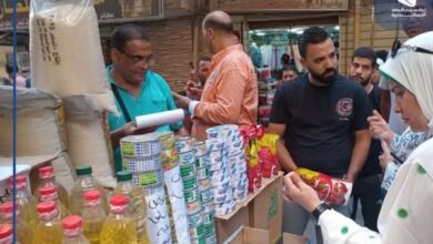غلق وتشميع عدد 172 منشآة بالإسكندرية والتحفظ على 6520 حالة إشغال متنوع 
