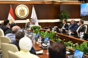  نائب رئيس الوزراء وزير الصحة يبحث مع غرفة مقدمي خدمات الرعاية الصحية بالقطاع  