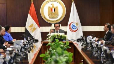  نائب رئيس الوزراء وزير الصحة يبحث مع غرفة مقدمي خدمات الرعاية الصحية بالقطاع  