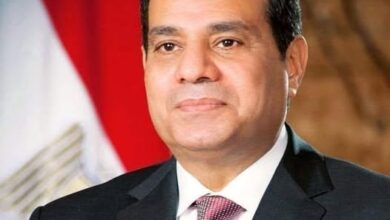 محافظ قنا يهنئ الرئيس السيسي والأمة الإسلامية بذكرى المولد النبوي الشريف