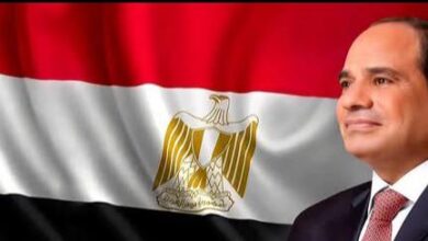 الرئيس السيسي يوجه باستمرار جهود نشر الوعي العام بحقوق الإنسان وما يرتبط بها من واجبات