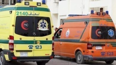 مصرع رضيعة إثر سقوطها من أعلى سلم منزلها بحجازة قبلى بقوص في قنا