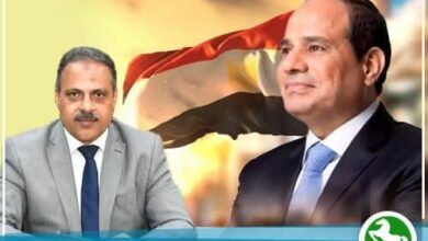 محافظ الشرقية يُهنئ الرئيس السيسي بذكرى المولد النبوي الشريف