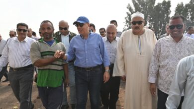 مصر تحتفل اليوم بـ "عيد الفلاح" 