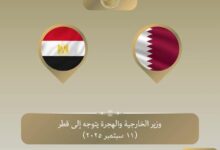وزير الخارجية يتوجه إلى الدوحة للإعراب عن تضامن مصر الكامل مع دولة قطر الشقيقة