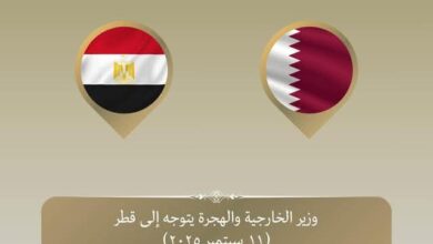 وزير الخارجية يتوجه إلى الدوحة للإعراب عن تضامن مصر الكامل مع دولة قطر الشقيقة
