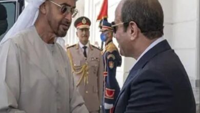 الإمارات تمول مشروعات مصرية فى إفريقيا لتعزيز النفوذ المصرى فى القارة السمراء