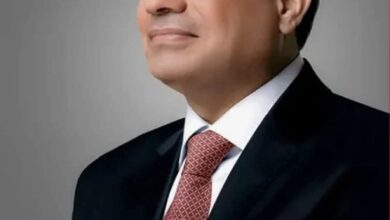 الرئيس السيسي يصدر قرارا بالموافقة على اتفاقية خطوط جوية منتظمة بين مصر ونيوزيلاندا