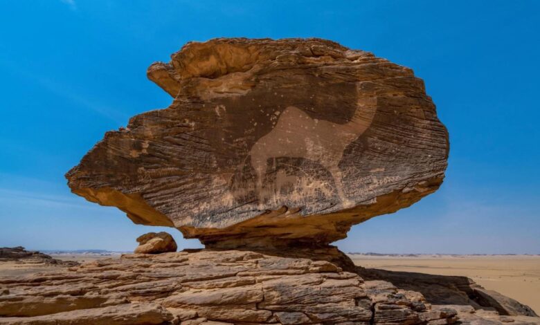 معرض "الصقور والصيد السعودي" الدولي 2025 يستعرض صورة متكاملة عن منطقة حِمى الثقافية بنجران 1 معرض "الصقور والصيد السعودي" الدولي 2025 يستعرض صورة متكاملة عن منطقة حِمى الثقافية بنجران