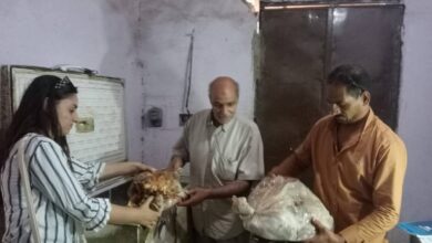 محافظة المنيا تضبط أكثر من طن ونصف لحوم غير صالحة للاستهلاك الآدمي خلال حملة مكبرة بمركز مغاغة